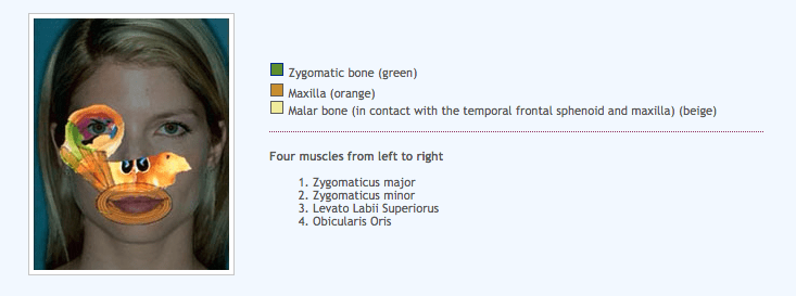 homeoblock results