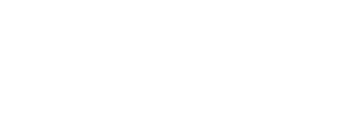 Dr. Theodore R. Belfor Logo
